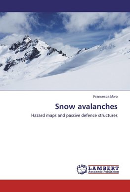 Snow avalanches