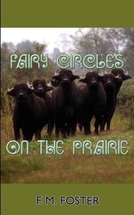 Fairy Circles on the Prairie