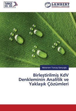 Birlestirilmis KdV Denkleminin Analitik ve Yaklasik Çözümleri