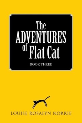 The ADVENTURES of Flat Cat