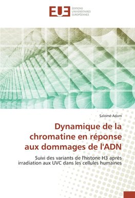 Dynamique de la chromatine en réponse aux dommages de l'ADN