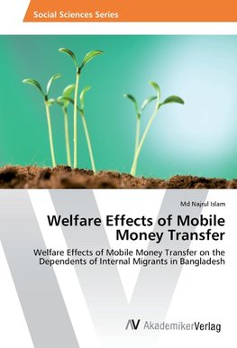 Welfare Effects of Mobile Money Transfer