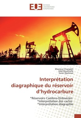 Interprétation diagraphique du réservoir d'hydrocarbure