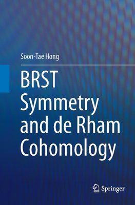 BRST Symmetry and de Rham Cohomology