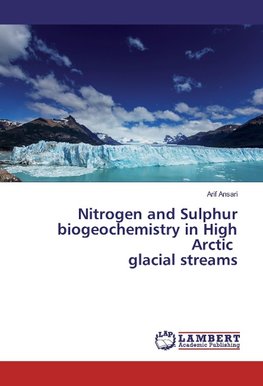 Nitrogen and Sulphur biogeochemistry in High Arctic glacial streams