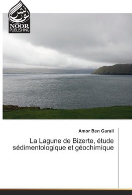 La Lagune de Bizerte, étude sédimentologique et géochimique