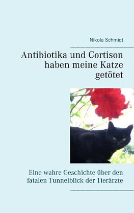 Antibiotika und Cortison haben meine Katze getötet