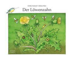 Der Löwenzahn