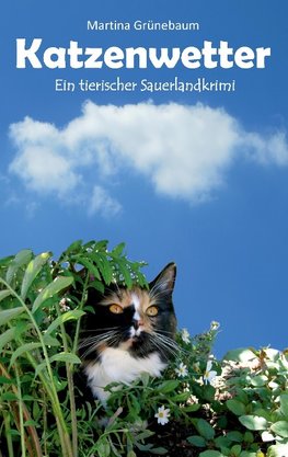 Katzenwetter