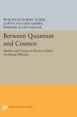 Between Quantum and Cosmos