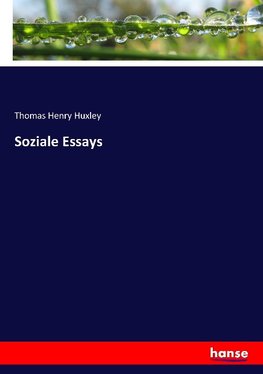 Soziale Essays