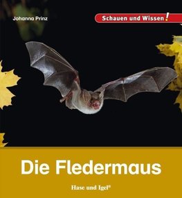 Die Fledermaus