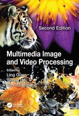 Multimedia Image and Video Processing