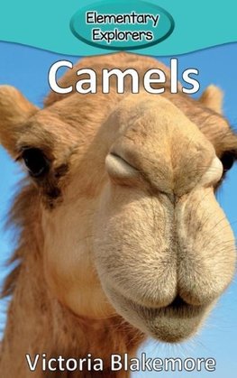 Camels