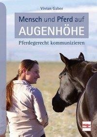 Mensch und Pferd auf Augenhöhe