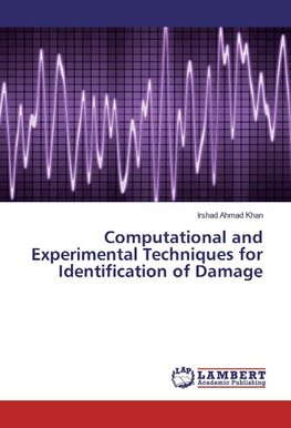 Computational and Experimental Techniques for Identification of Damage