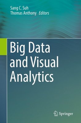 Big Data and Visual Analytics