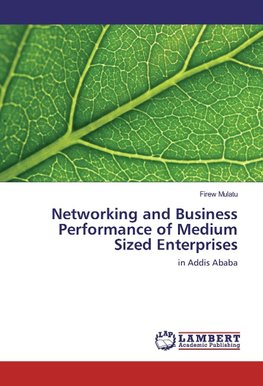 Networking and Business Performance of Medium Sized Enterprises