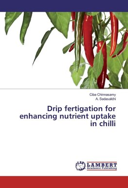 Drip fertigation for enhancing nutrient uptake in chilli