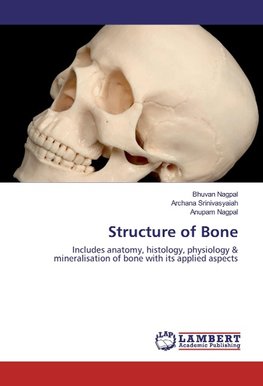 Structure of Bone