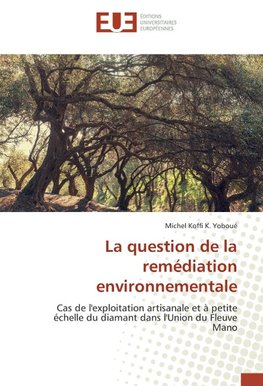 La question de la remédiation environnementale