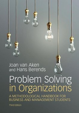 Problem Solving in Organizations