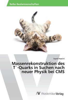 Massenrekonstruktion des T`-Quarks in Suchen nach neuer Physik bei CMS