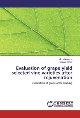 Evaluation of grape yield selected vine varieties after rejuvenation