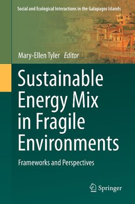 Sustainable Energy Mix in Fragile Environments