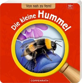 Von nah zu fern! Die kleine Hummel