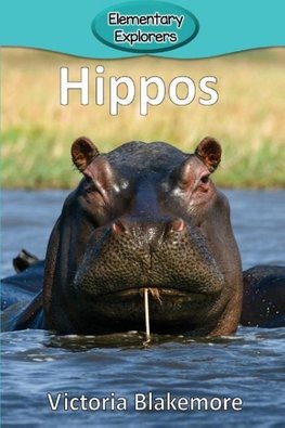 Hippos