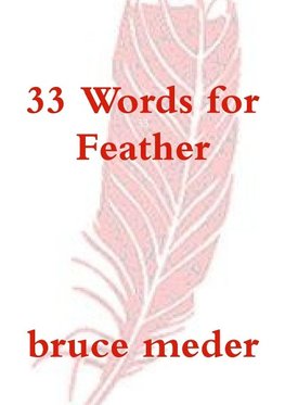 33 Words for Feather