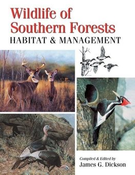 Wildlife of Southern Forests