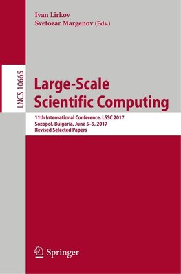 Large-Scale Scientific Computing