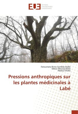 Pressions anthropiques sur les plantes médicinales à Labé