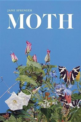 Moth