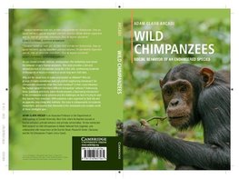 Wild Chimpanzees