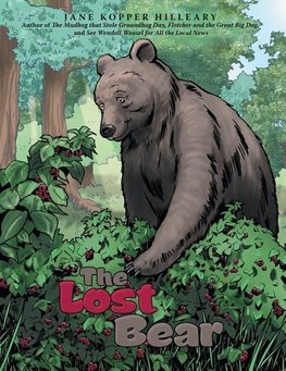 The Lost Bear