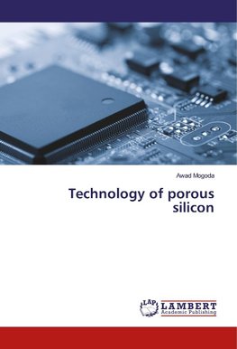 Technology of porous silicon