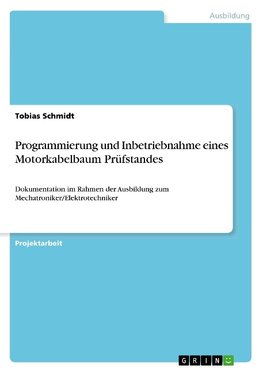 Programmierung und Inbetriebnahme eines Motorkabelbaum Prüfstandes