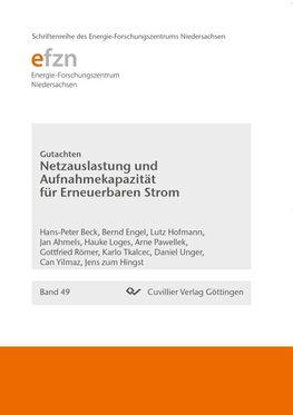 Netzauslastung und Aufnahmekapazität für Erneuerbaren Strom