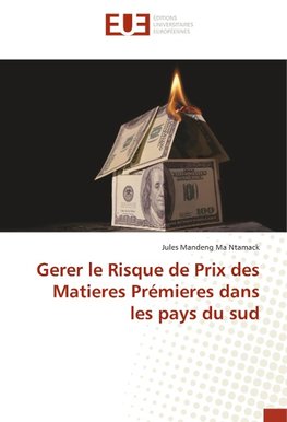 Gerer le Risque de Prix des Matieres Prémieres dans les pays du sud