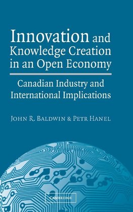 Innovation and Knowledge Creation in an Open Economy