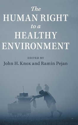 The Human Right to a Healthy Environment