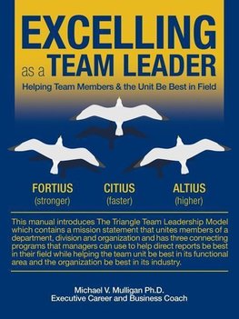 Excelling as a Team Leader