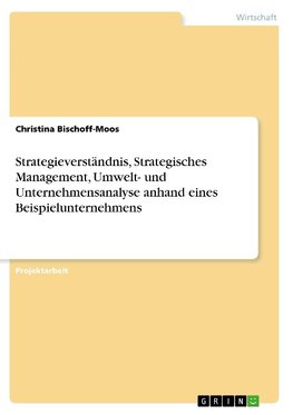 Strategieverständnis, Strategisches Management, Umwelt- und Unternehmensanalyse anhand eines Beispielunternehmens