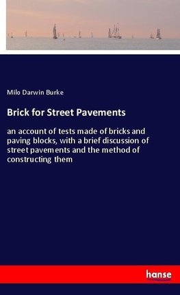 Brick for Street Pavements