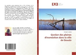 Gestion des plaines d'inondation dans la ville de Douala