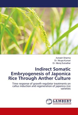 Indirect Somatic Embryogenesis of Japonica Rice Through Anther Culture