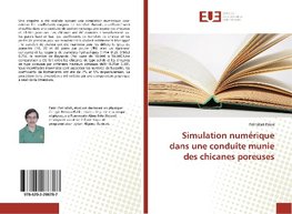 Simulation numérique dans une conduite munie des chicanes poreuses